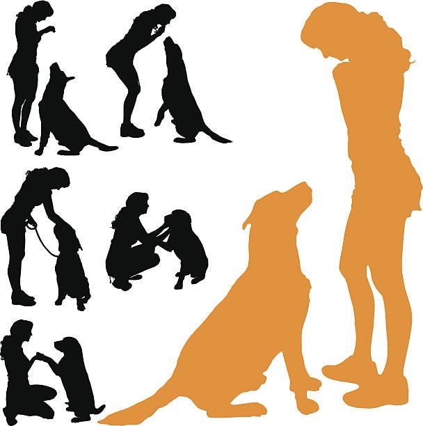 Obedience Dog Training