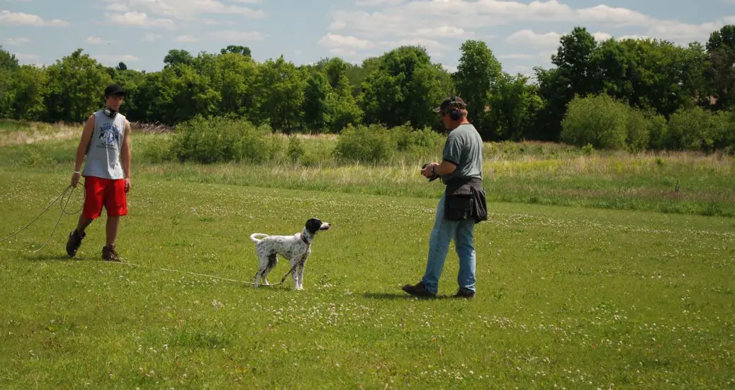 Obedience Dog Training: Come Command of Dog Training