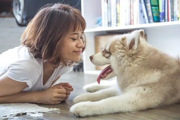 Dog Allergies- Avoid Close Contact