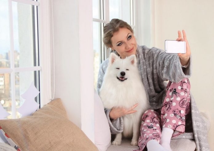 A Good Dog with Owner