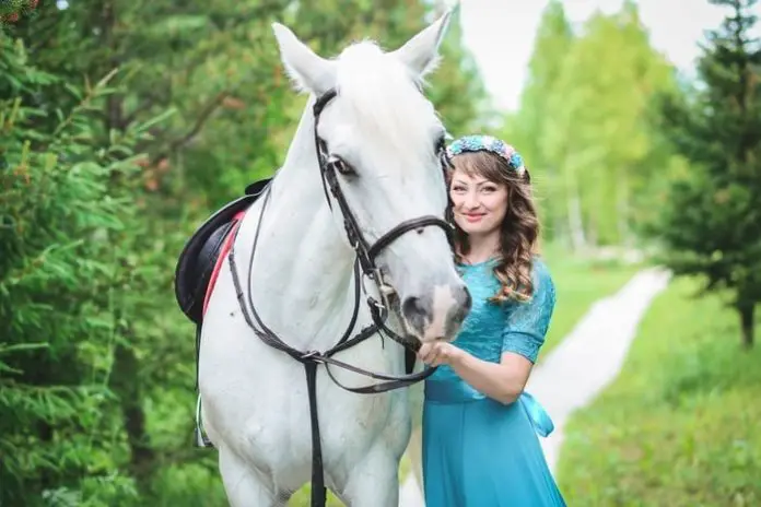 Horse Stress