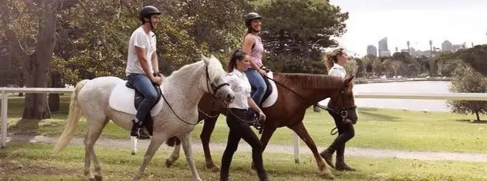 Holding Saddle for Balance