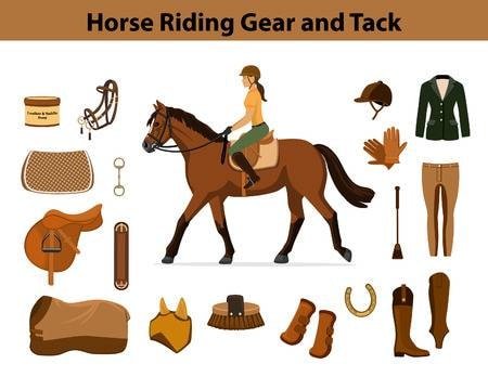 Horse Riding Gears