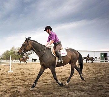 Horseback Riding-Knee Up Position