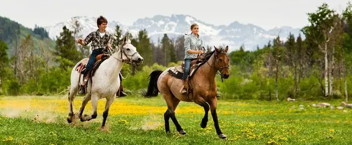 Horseback Riding- Know the Trail