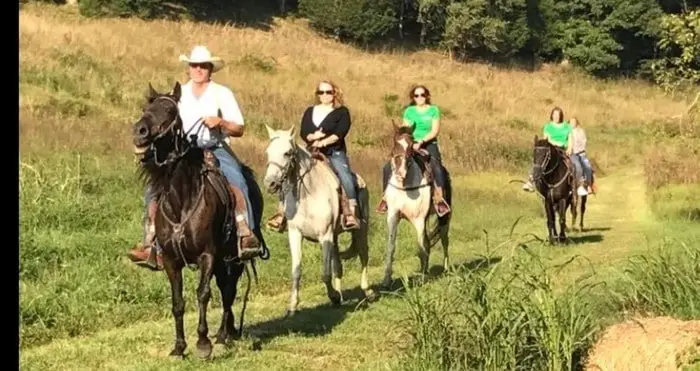 Horseback Riding-Lose Grip by Thigh and Knees