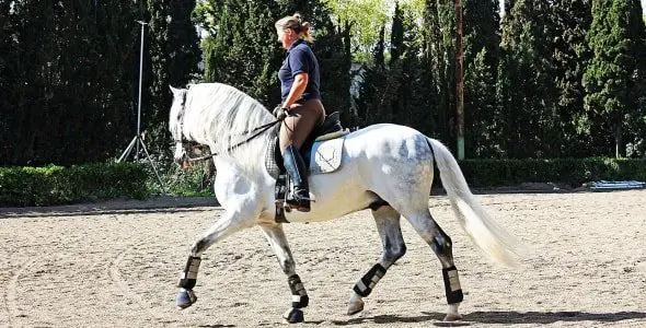 Horseback Riding-Slouching