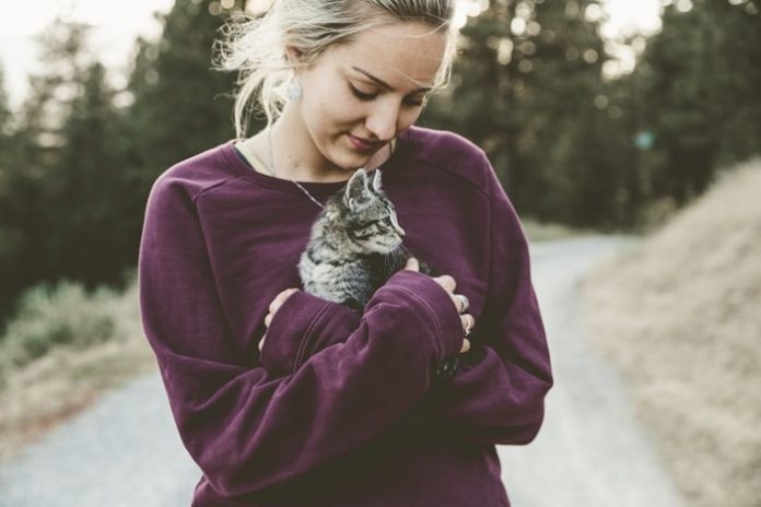 Lovely Cat