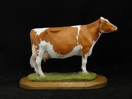 Red and White Holstein Cow