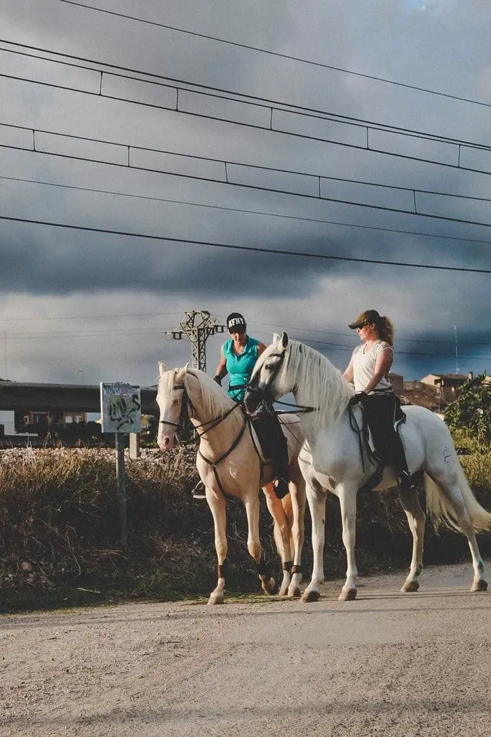 Riding Horse in Hard Ground For Long Time- Causes of Equine Laminitis