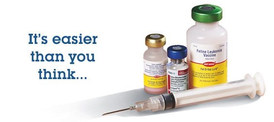 Dog Vaccines