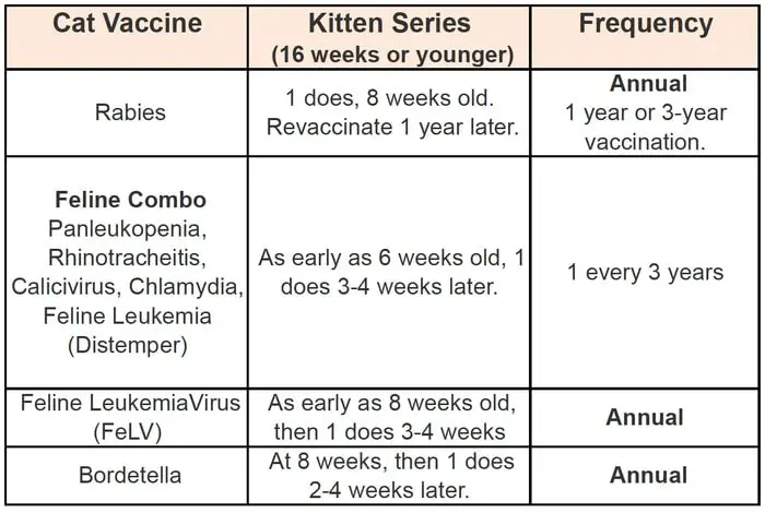 Feline Vaccination Schedule