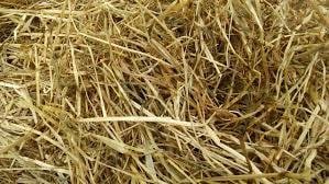 Haylage- Horse Diet