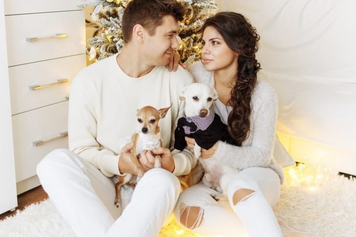 Lovely Dogs