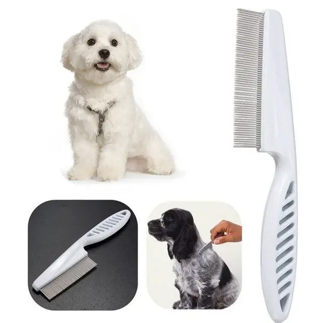 Puppy Care- Brushing