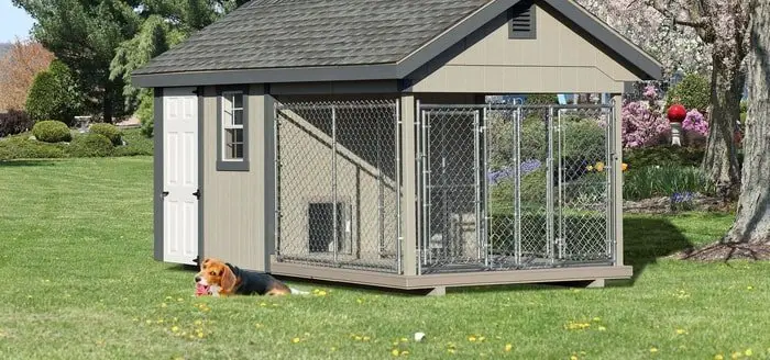 Dog Kennel