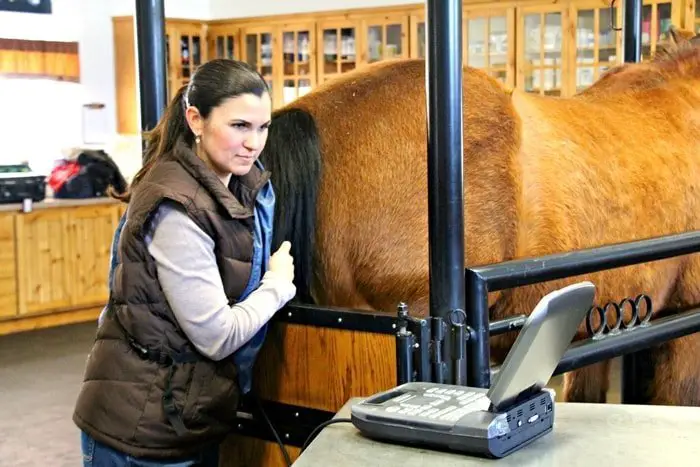 Examination of Mare