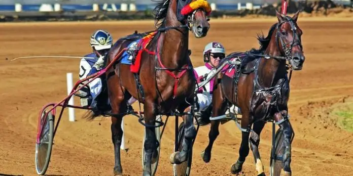 Horse Health