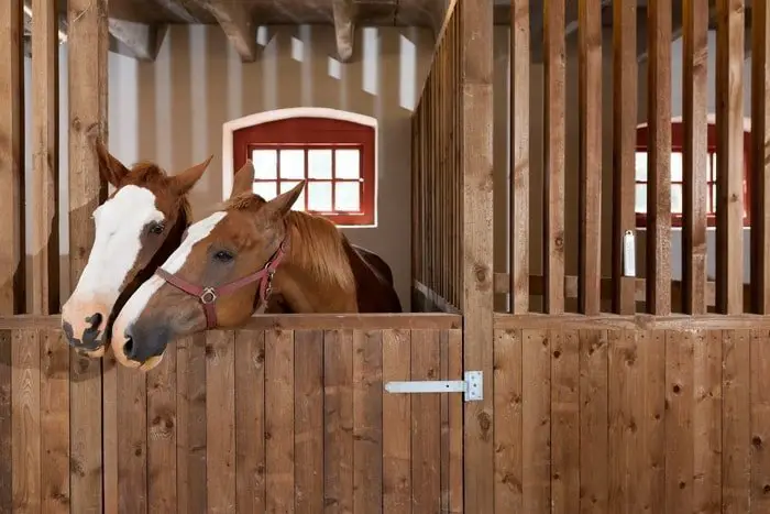 Horse House