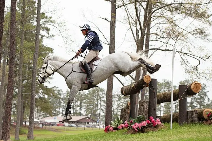 Horse Training- Cross Country