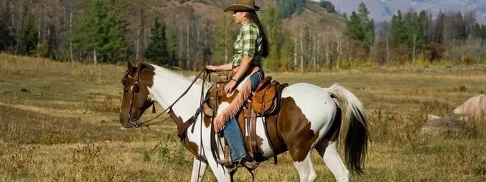 Horse Training- Western Riding