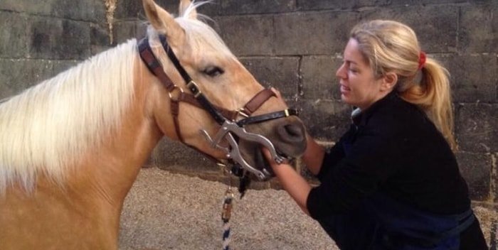 Equine Dental Technician