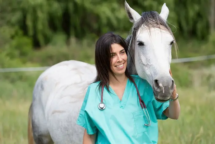 Equine Veterinarian