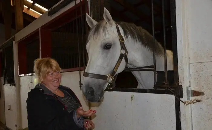 Horse Stud and Stable Manager