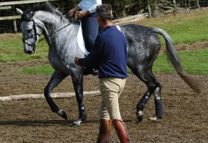 Horseback Riding Instructor