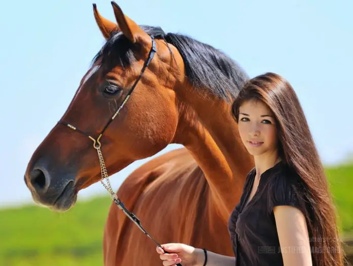 Racehorse Trainer