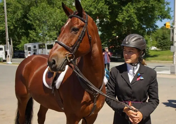 Stable-hand Training Staff