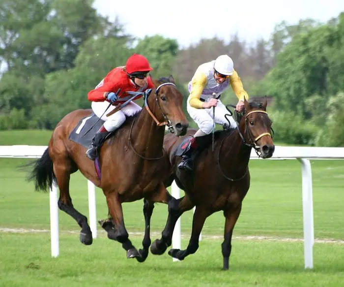 Thoroughbreds Horse Racing