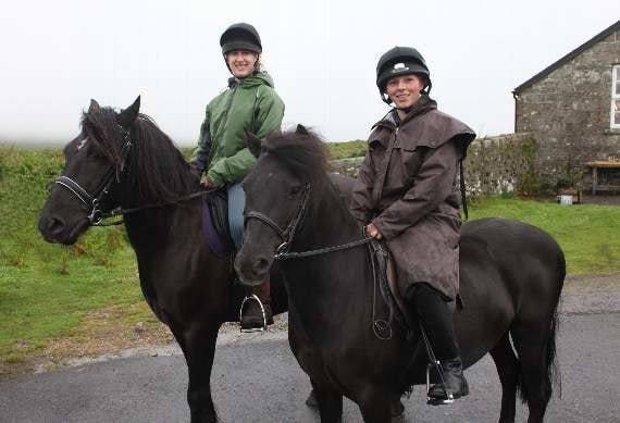 Usage of Dartmoor Pony