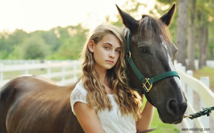 Care of Mud Fever in Horses