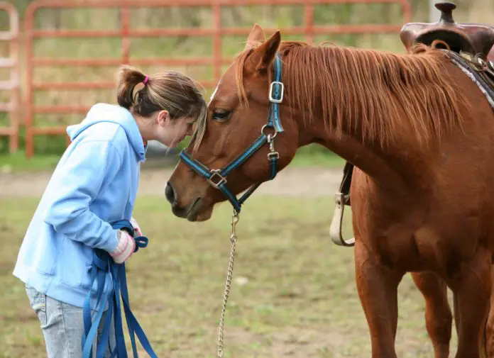 Equine Rabies