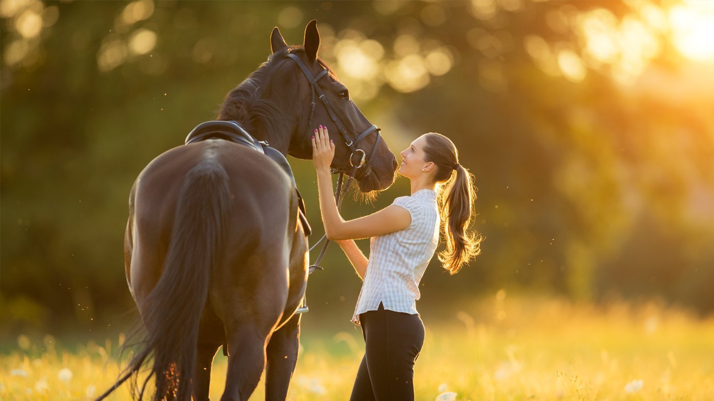 Equine Lungworm