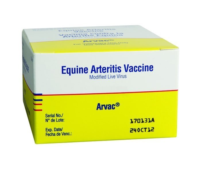 Equine Viral Arteritis Vaccine