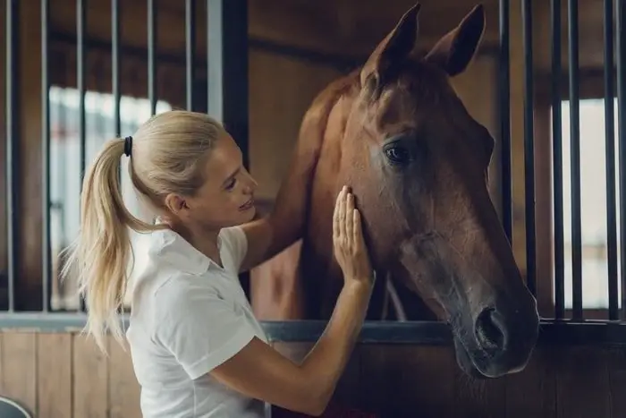 Emotional Abuse of Horses