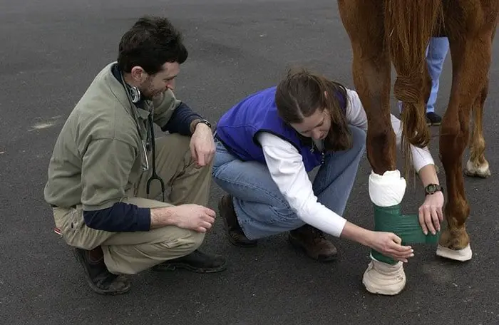 Horse First Aid