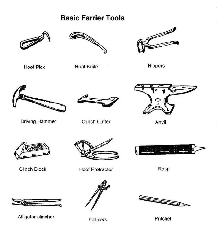 Farrier Tools