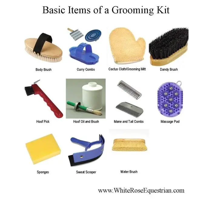 Grooming Kit