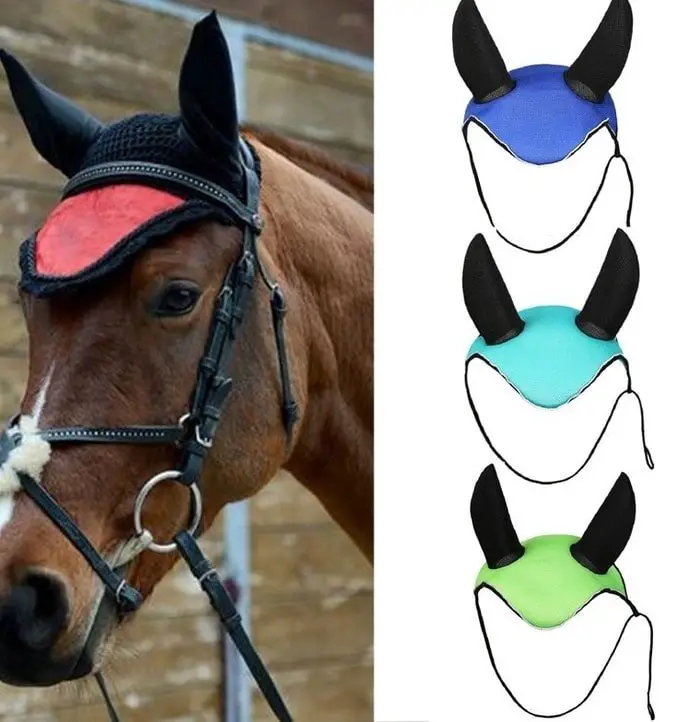 Horse Accessories