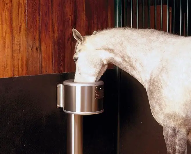 Horse Feeding Equipment