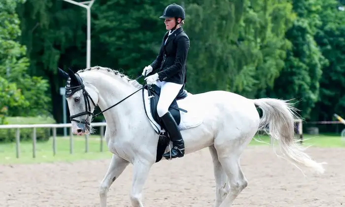 Horseback Rider's Dress