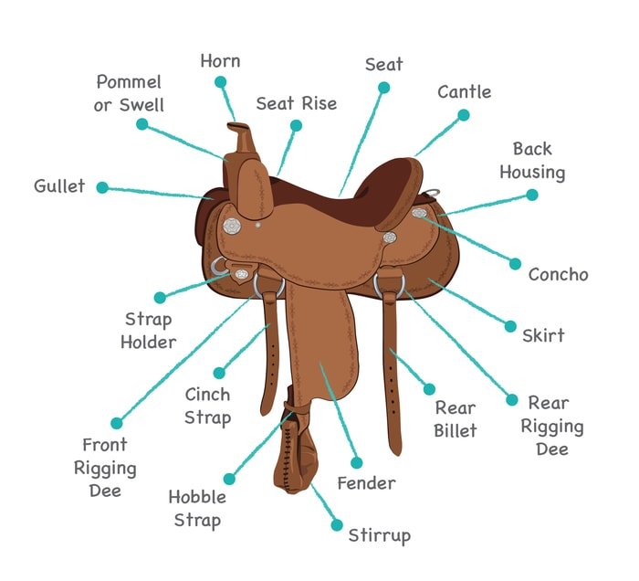 Parts of a Western Saddle