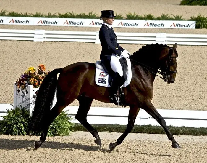 Dressage Horse Breeds