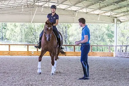 Dressage Trainer