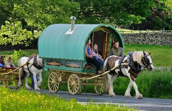 History of Gypsy