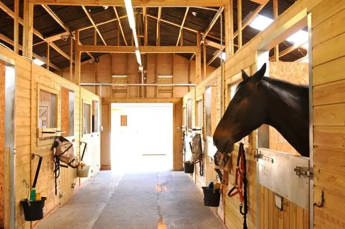 Ceiling of Stable