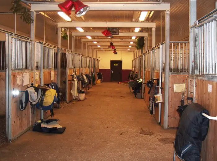 Central Walkway of Horse Stable